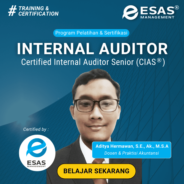 Internal Audit Certified Internal Auditor Senior Cias Esas Management