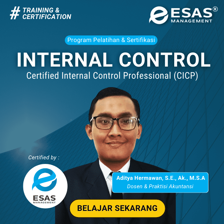 Internal Control Certified Internal Control Professional CICP 