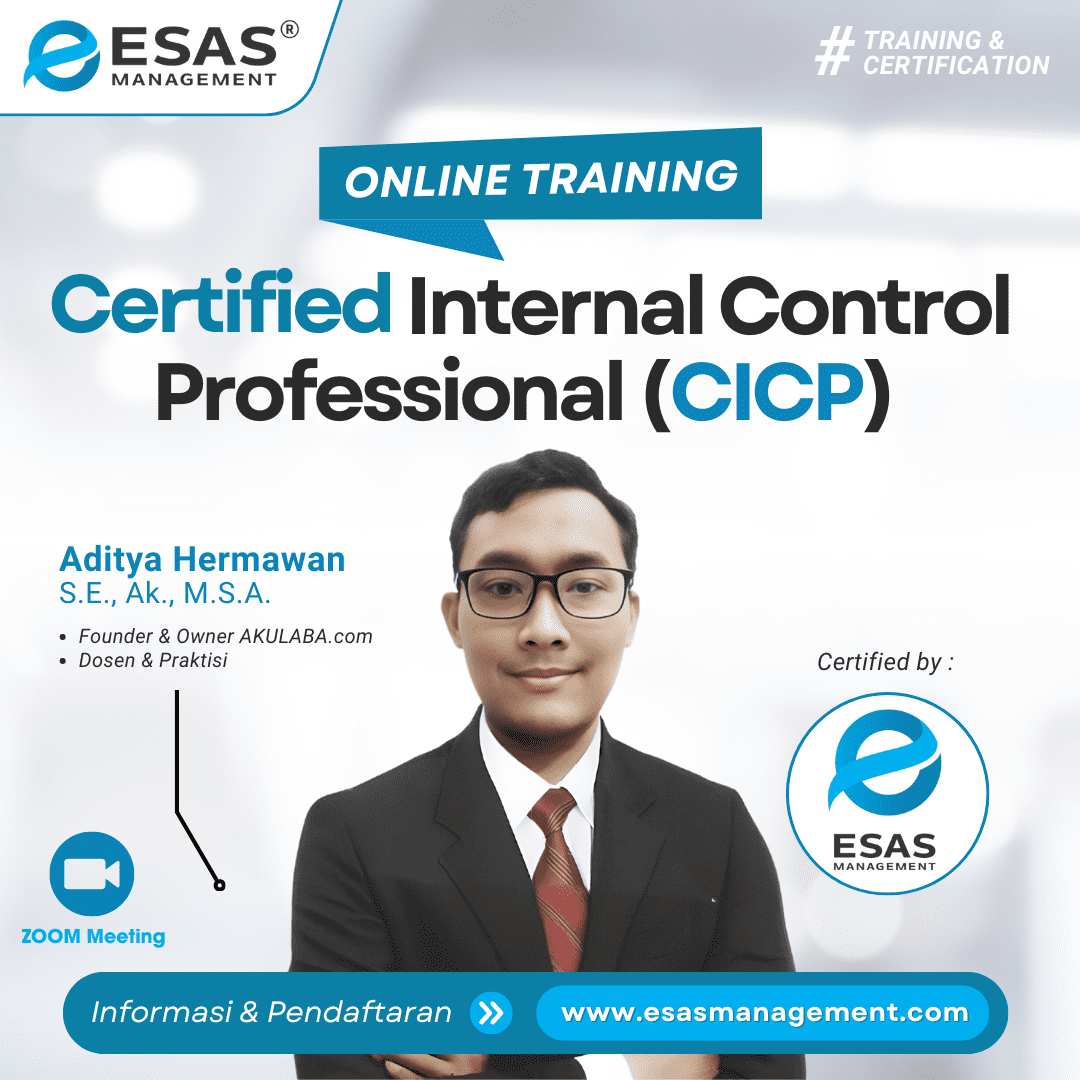 Internal Control Certified Internal Control Professional CICP 